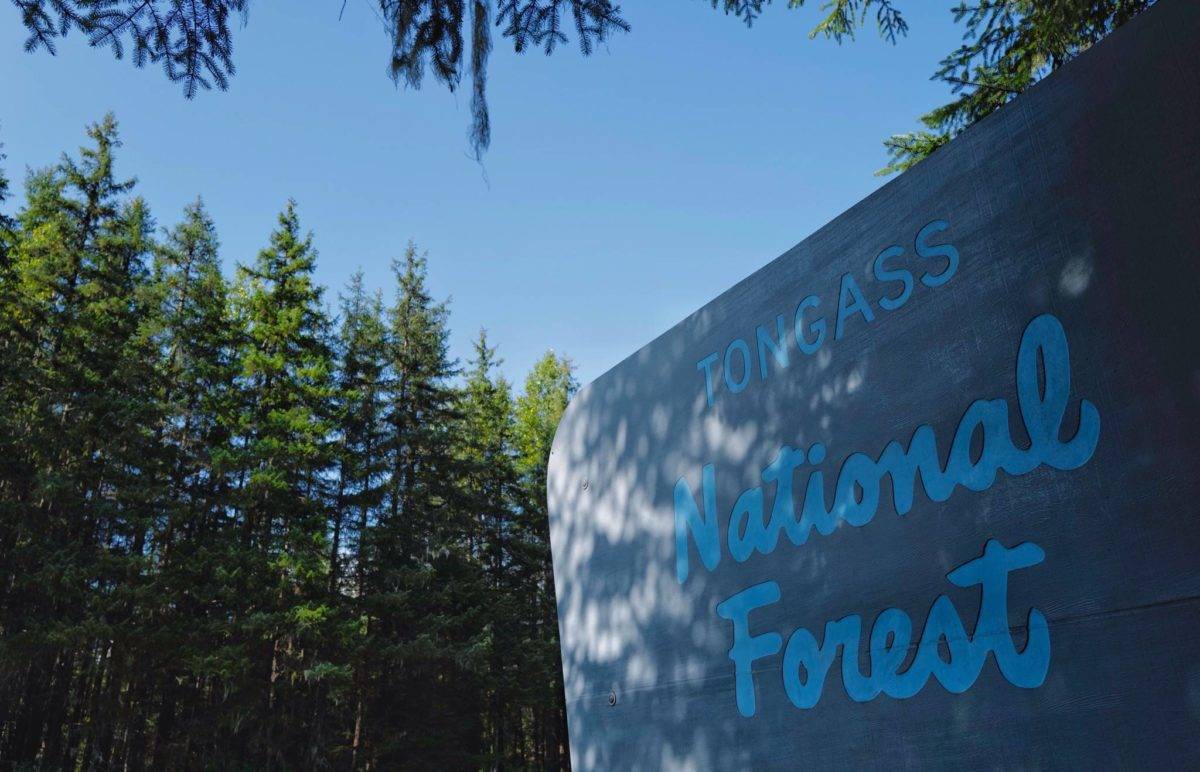 The Tongass National Forest sign seen en route to the Mendenhall Glacier Visitor Center. The U.S. Forest Service is proposing to exempt the country’s largest national forest from a ban on timber harvests and road building in roadless areas, a move conservation groups denounced Thursday. (Michael Penn / Juneau Empire File)