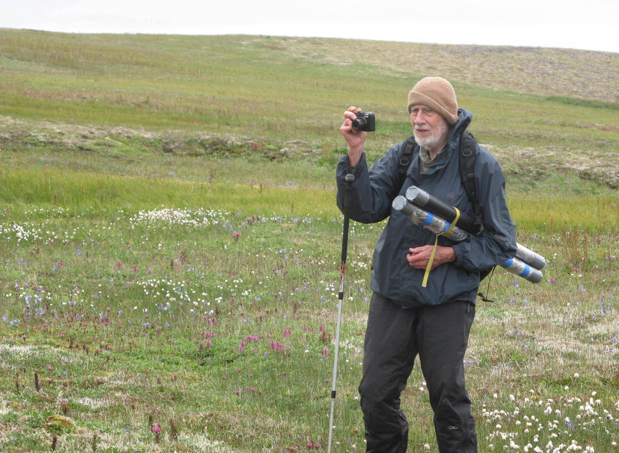 In August 2012, David Klein, then 85, carried sediment cores within plastic pipes over the surface of St. Matthew Island. (Courtesy Photo / Ned Rozell)