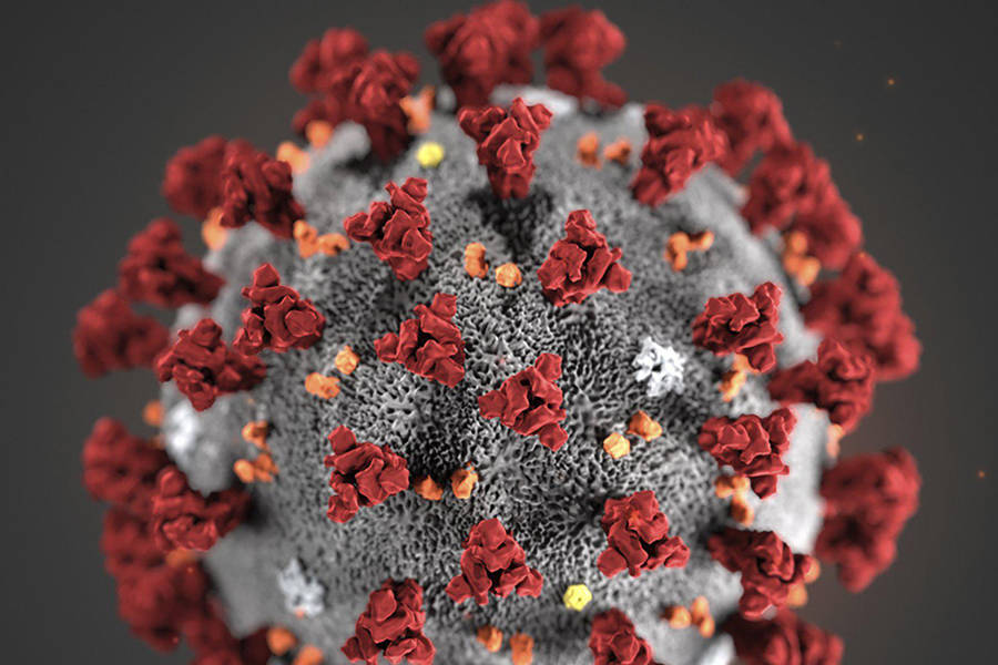State reports 6 new coronavirus deaths