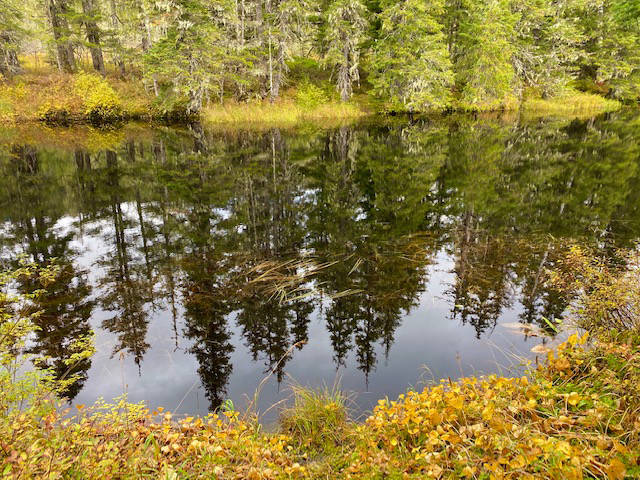 This photo shows reflections at the end of Peterson Lake on Sept. 23, 2020. (Courtesy Photo / Denise Carroll)