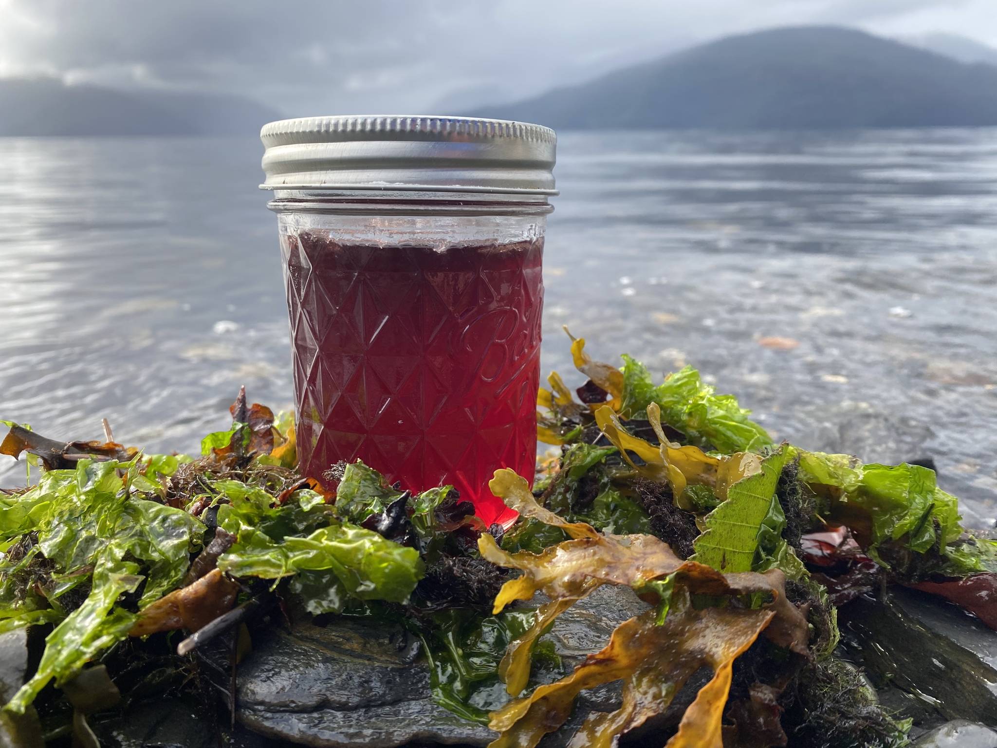 photos by Vivian Faith Prescott / For the Capital City WeeklyThis photo shows a jar holding stink currant jelly in Wrangell.