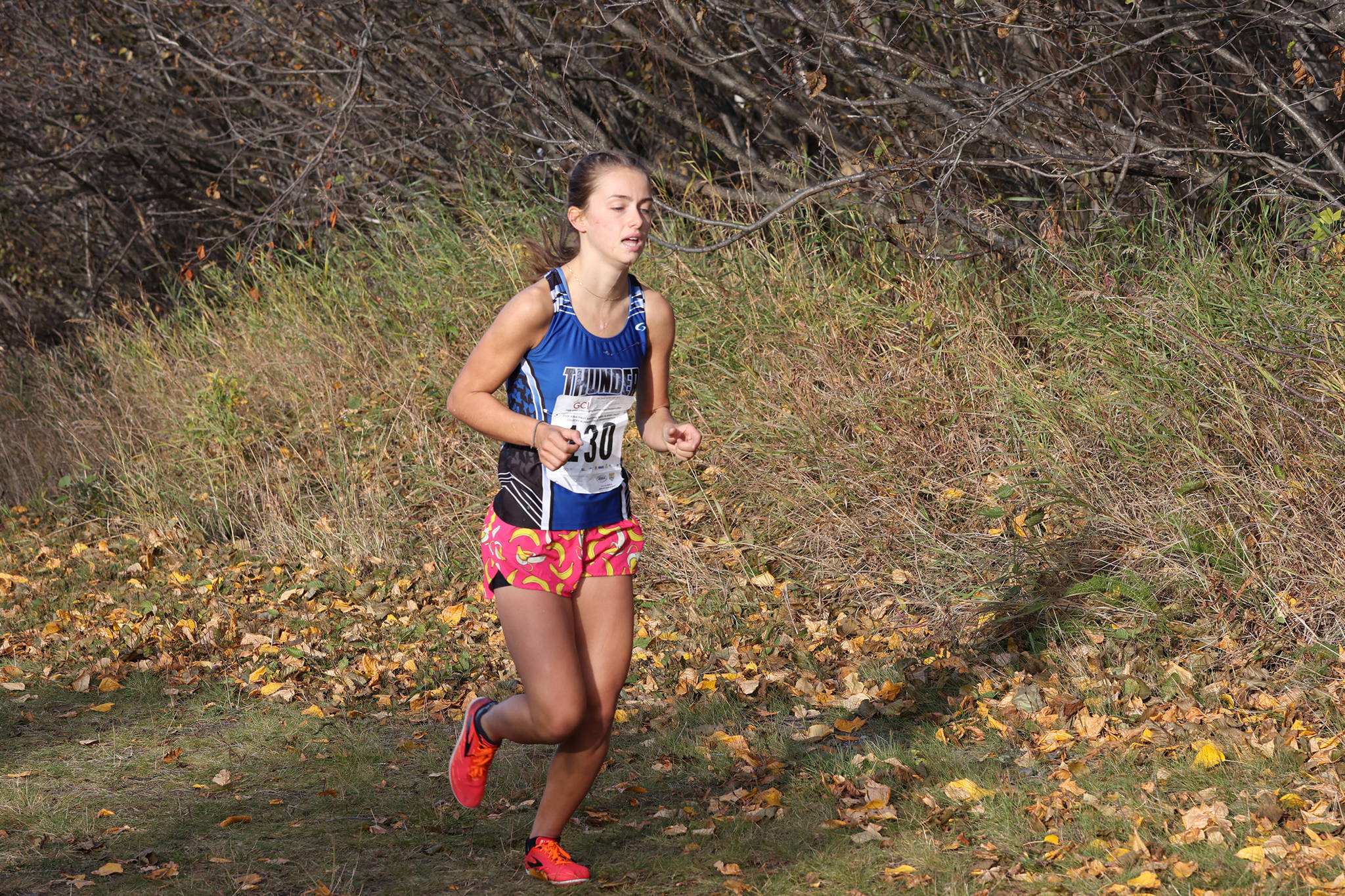 Thunder Mountain High School junior Kiah Dihle runs her way to an eighth-place finish at the state cross country meet on Saturday, Oct. 10. (Courtesy Photo / Eric Hanson)