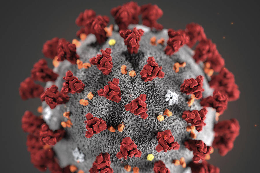 This illustration provided by the Centers for Disease Control and Prevention in January 2020 shows the 2019 Novel Coronavirus. This virus was identified as the cause of an outbreak of respiratory illness first detected in Wuhan, China. [CDC]