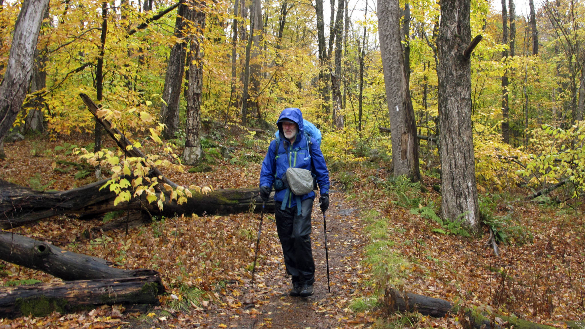 Artist Rob Mullen walks down Long Trail, the country’s oldest long distance trail, in Manchester, Vt., on Tuesday, Oct. 13, 2020. Mullen was nearing the end of his 272-mile month-long hike down the length of Vermont, painting along the way. (AP Photo/Lisa Rathke)