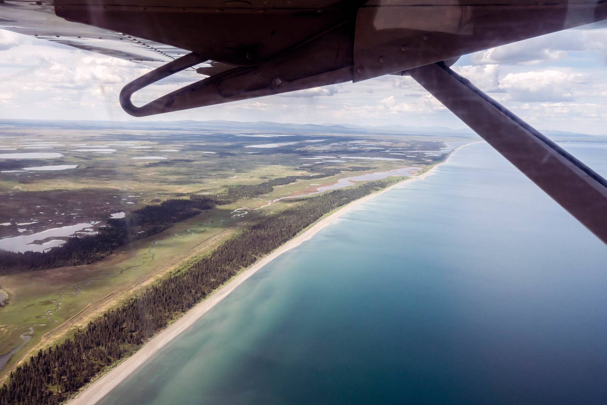 This photo shows a view of Lake Iliamna’s shoreline from a small plane. (Courtesy Photo / Chris Miller)