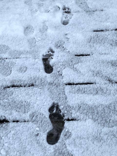 Footprints reveal that someone braved the snow while barefoot. (Courtesy Photo / Denise Carroll)