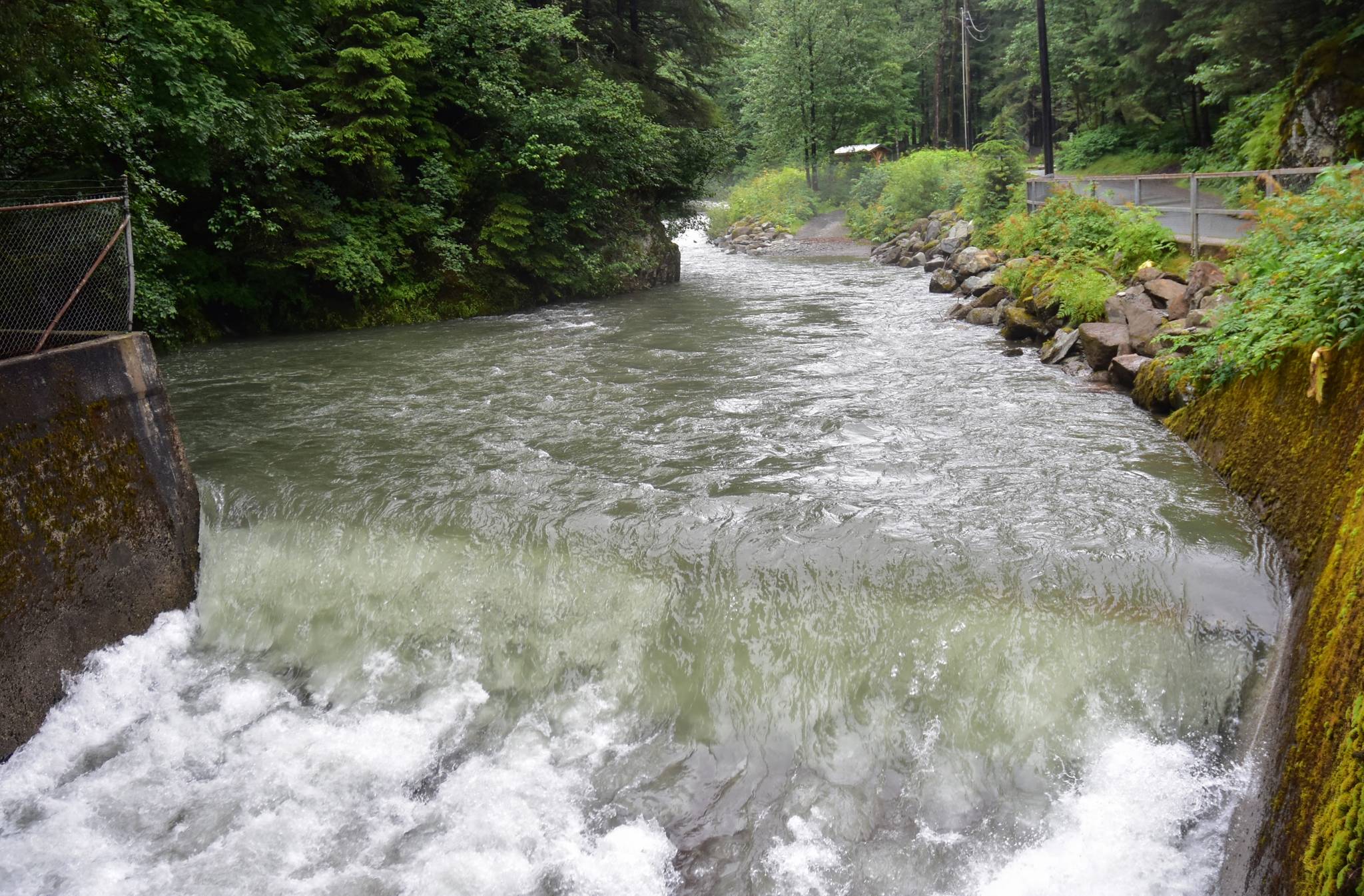 Juneau is expected to receive between five and ten inches of rain between Monday, Nov. 30, and Wednesday, Dec. 2, possibly leading to avalanches, mudslides, and high water levels and flooding, like Gold Creek, shown here July 26, 2020 after heavy rains. (Peter Segall / Juneau Empire)