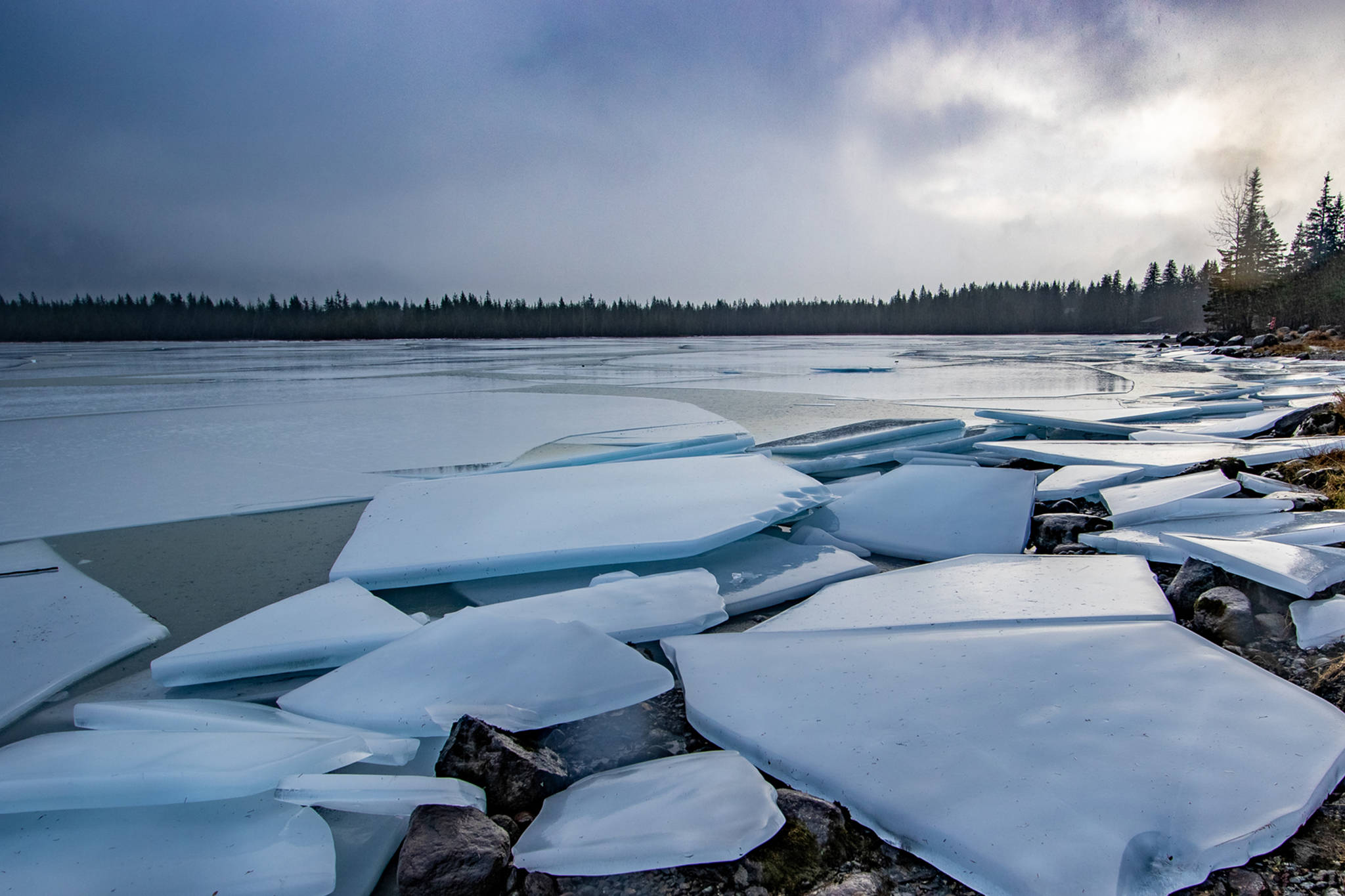 Ice plates pile up on the shore of Mendenhall Lake on Dec. 4. (Courtesy Photo / Kerry Howard)