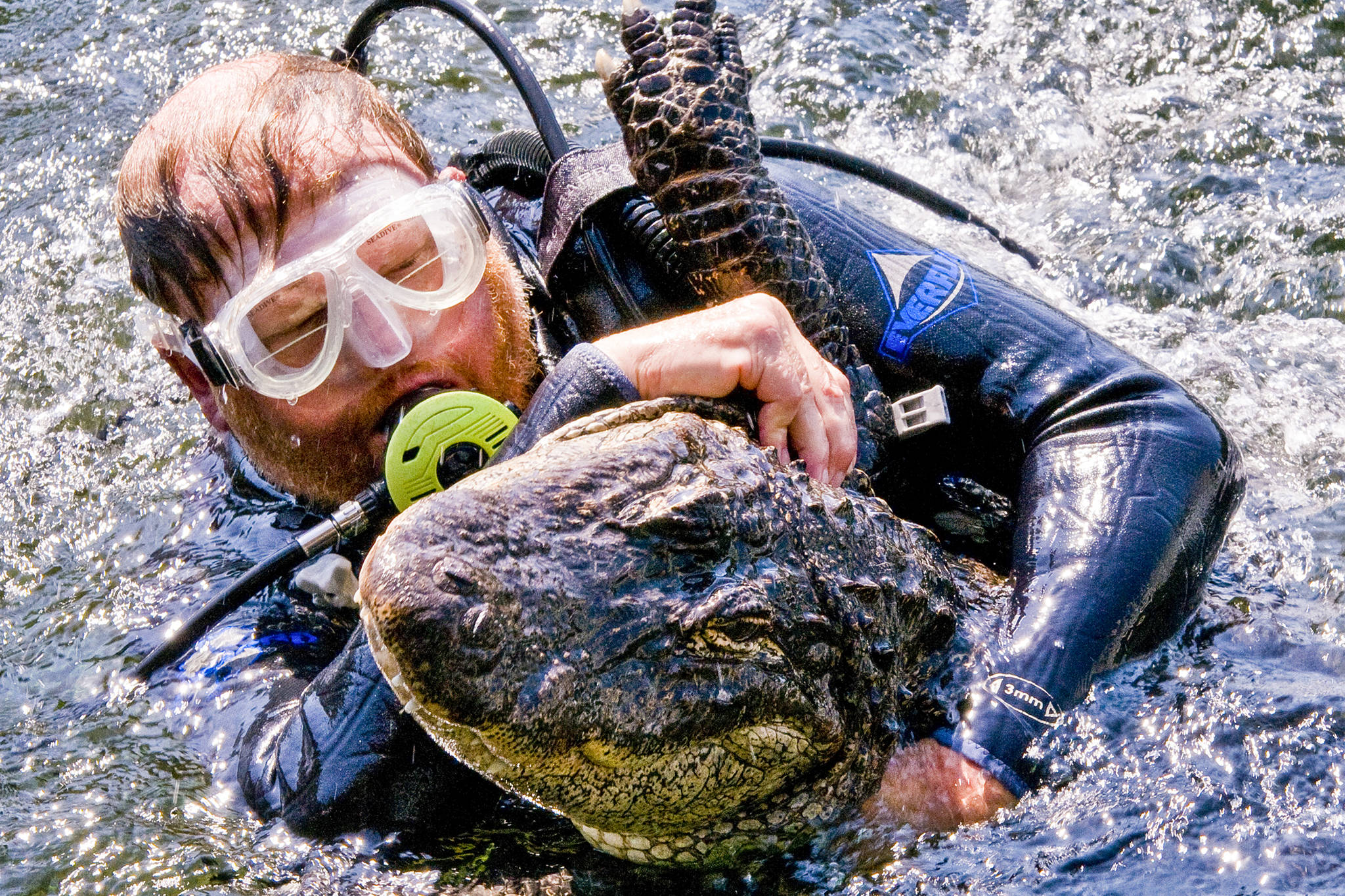 Mark Emery wrestles with an alligator in Florida. (Courtesy Photo / Mark Emery)