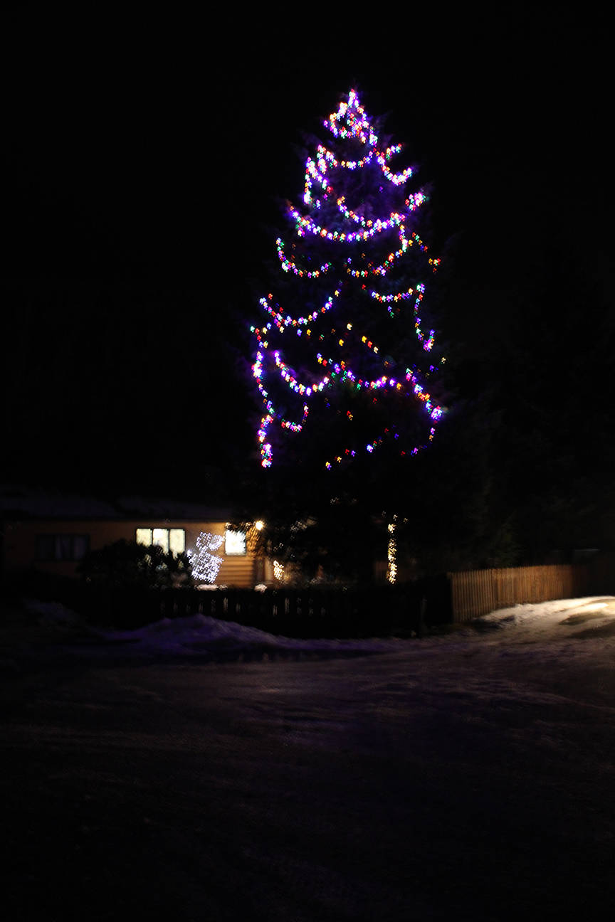 A tree decorated with lights towers above Sleepy Court. (Ben Hohenstatt / Juneau Empire)