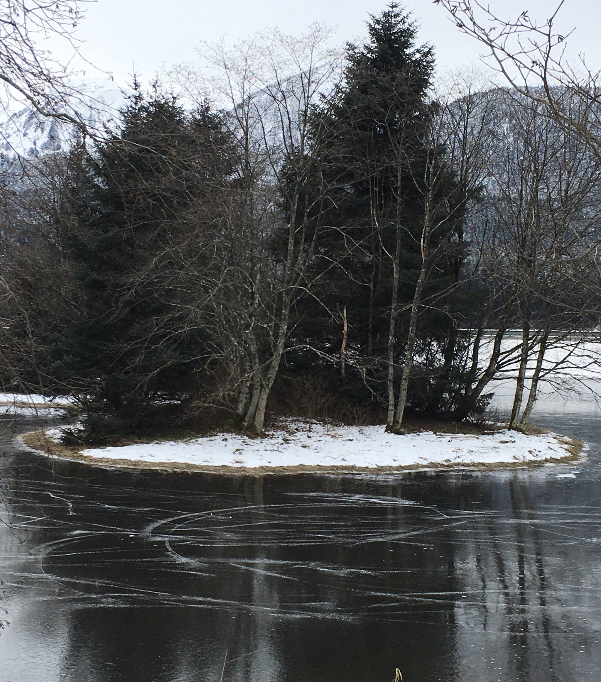 This photo shows an ice-locked tree on Twin Lakes and the ice skaters’ tracks on Jan. 28. (Courtesy Photo /Barbara Belknap)