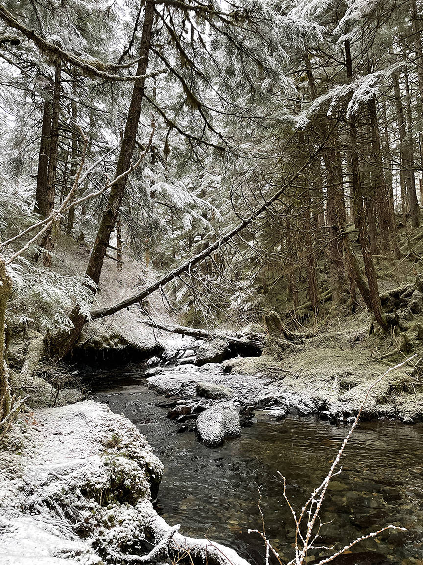 This photo shows a view on the Treadwell Ditch Trail on Jan. 23. (Courtesy Photo / Deana Barajas)