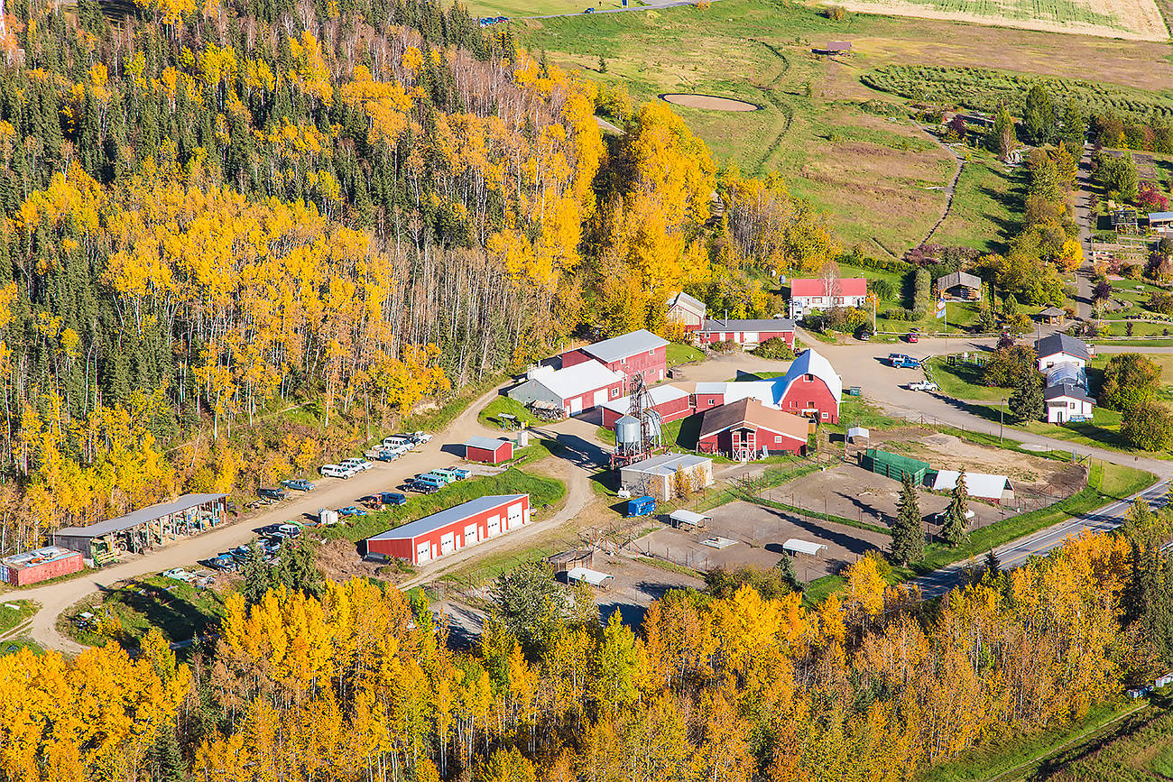 The Fairbanks Experimental Farm, shown in this 2014 photo, on the University of Alaska Fairbanks campus opened in 1906.(Courtesy Photo /  by Todd Paris, UAF)