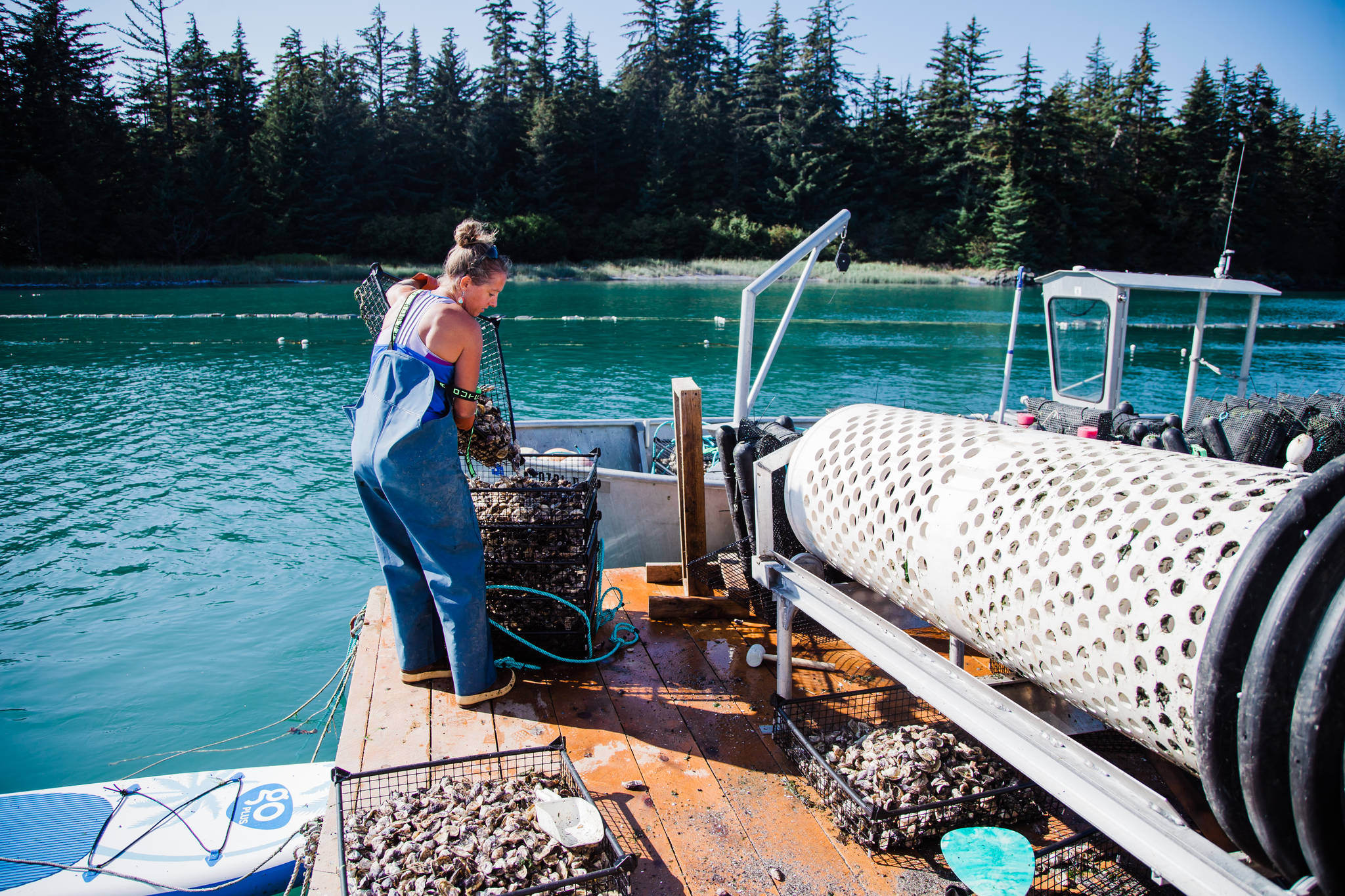 Meta Mesdag, one of the owners of the Salty Lady Seafood Company located at Bridget Point, empties oysters into a sorting machine in this 2019. (Courtesy Photo / Meta Mesdag)
