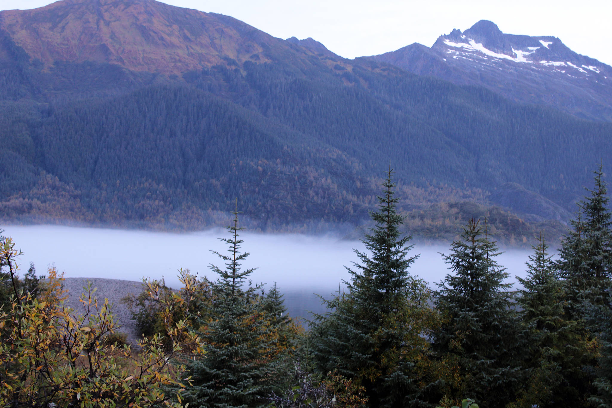 Mist hangs in the air in the Tongass National Forest in September 2020. For the last 20 years, the controversial Roadless Rule has been in effect, prohibiting roads on protected federal lands. Late last year, The Trump administration lifted the Roadless Rule. (Ben Hohenstatt / Juneau Empire File)