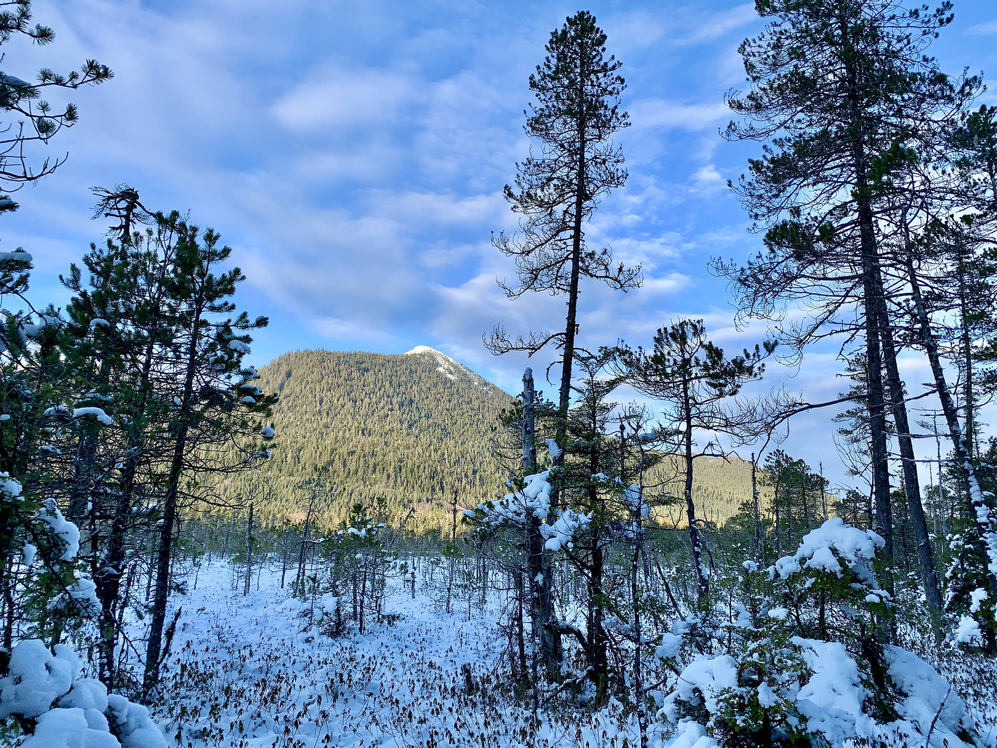 This photo taken on the Ohmer Creek Trail in Petersburg shows a snowy muskeg meadow with mountain in background, and blue sky with clouds on Jan. 31, 2021. (Courtesy Photo / Cindi Lagoudakis)