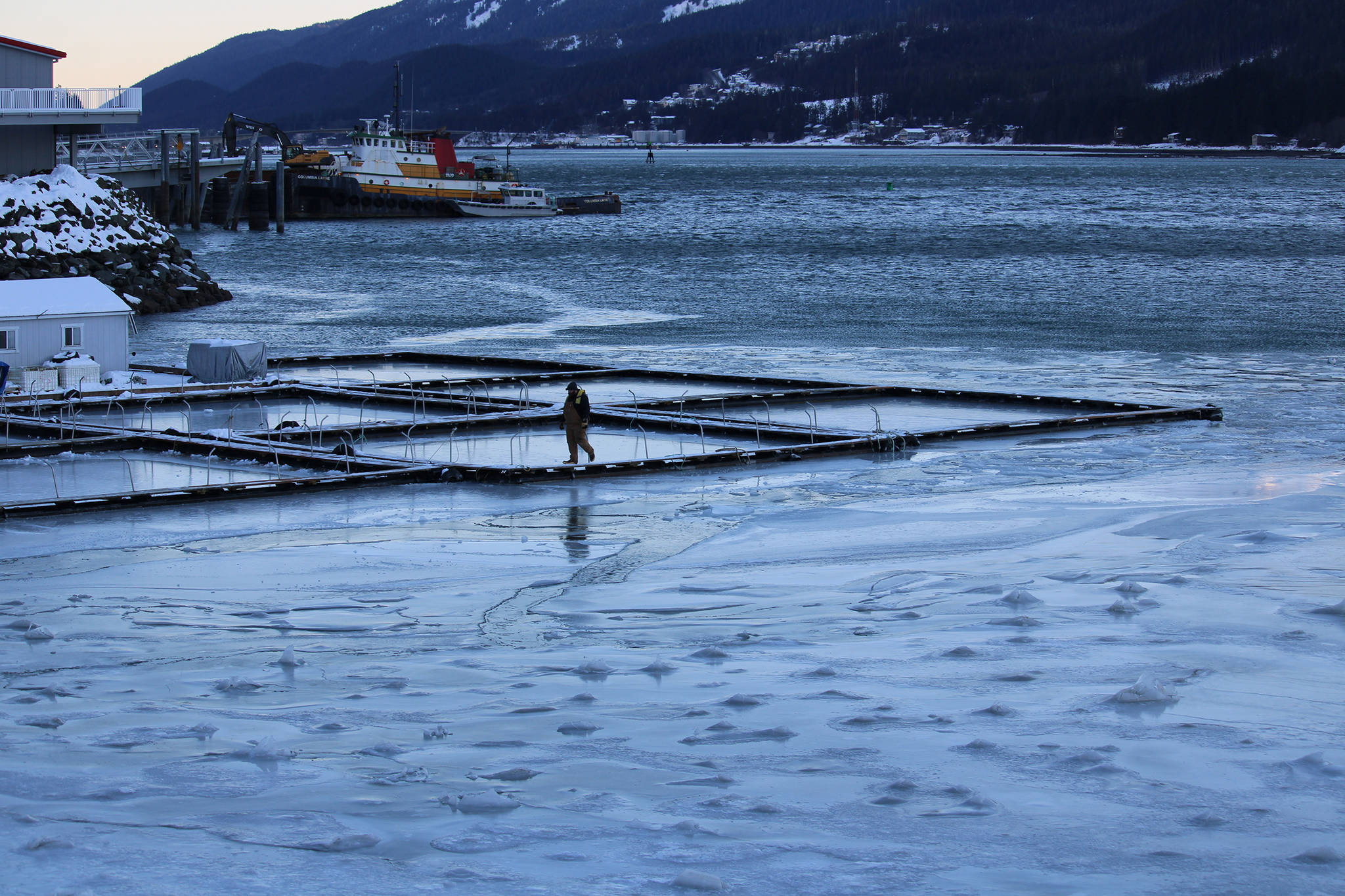 A worker walks on the pier near Douglas Island Pink and Chum Inc's Macaulay Salmon Hatchery Thursday afternoon. Ice has formed on the Gastineau Channel amid frigid temperatures brought on by a high-pressure ridge over mainland Alaska and Western Canada. (Dana Zigmund / Juneau Empire)