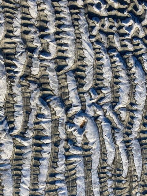 This photo shows frozen ripples in the sand at Eagle Beach in January 2021. (Courtesy Photo / Arthur Dee)