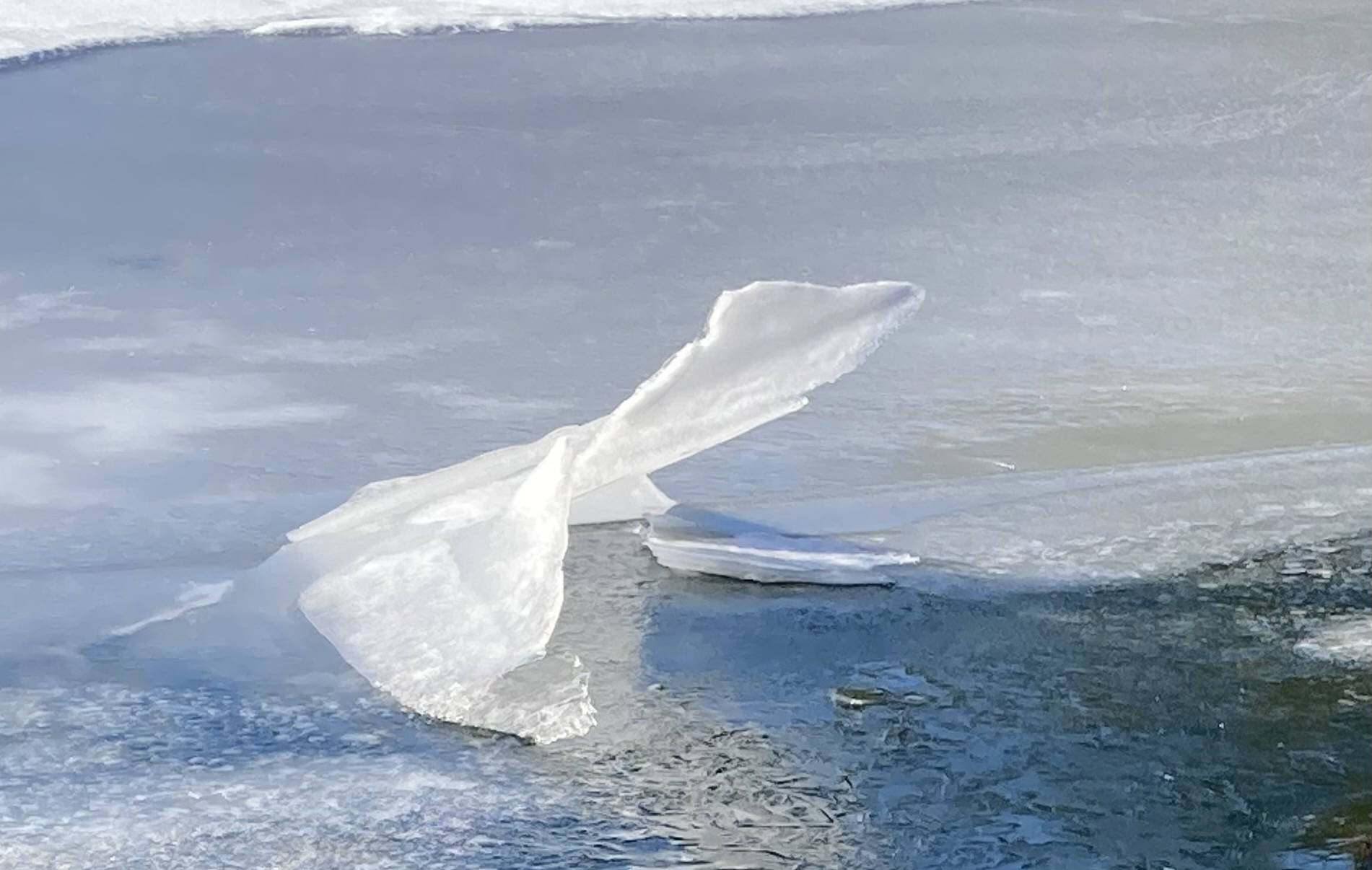 This photo shows an iced nimbus at Fish Creek. (Courtesy Photo / Mary Capobianco)
