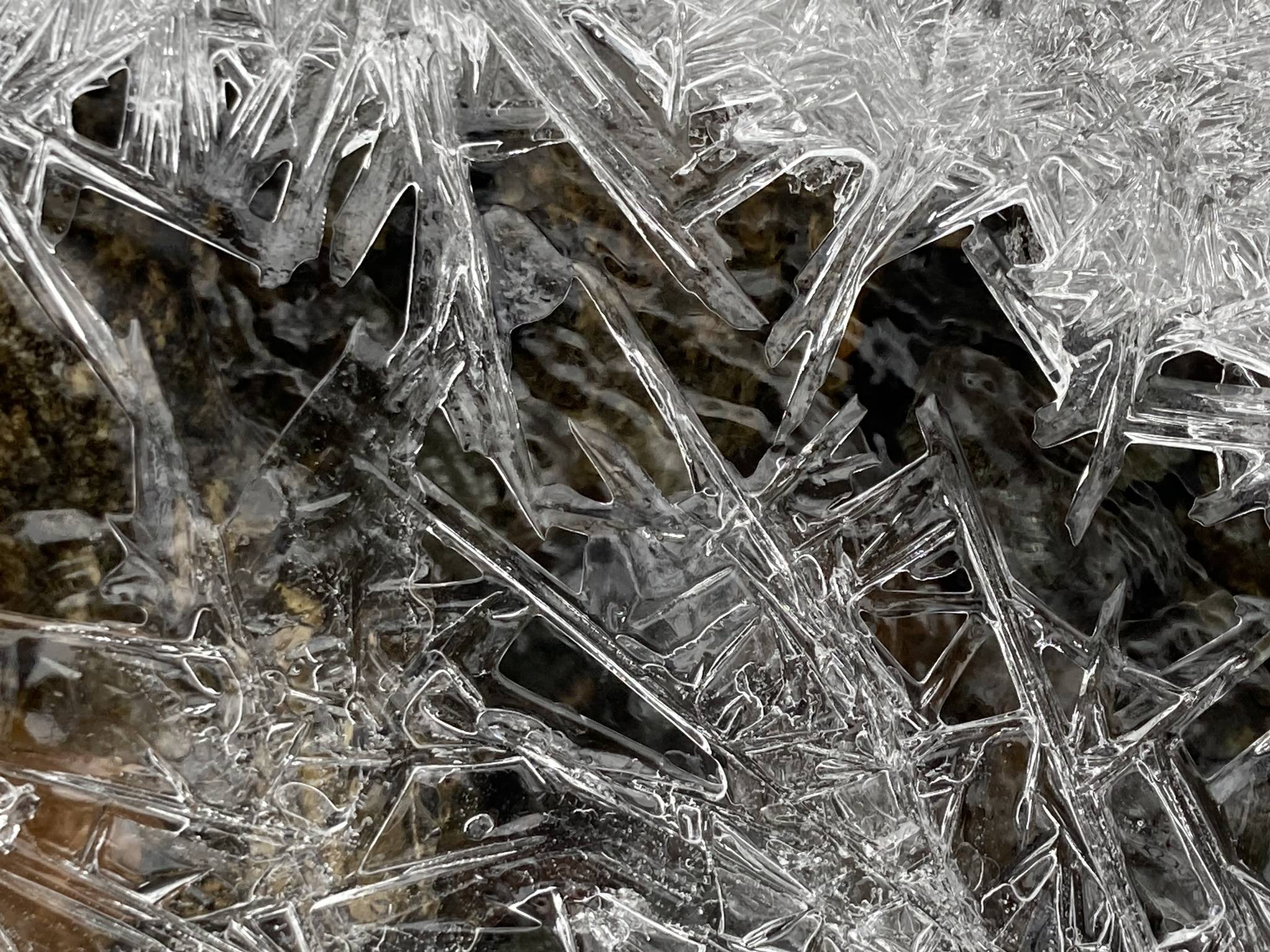 Ice crystals form on March 10 along a creek near Mendenhall Lake. (Couresy Photo / Deborah Rudis)