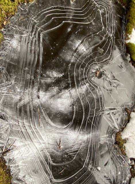 Distorted concentric circles form on a frozen puddle on West Glacier trail on March 10, 2021. (Courtesy Photo / Denise Carroll)