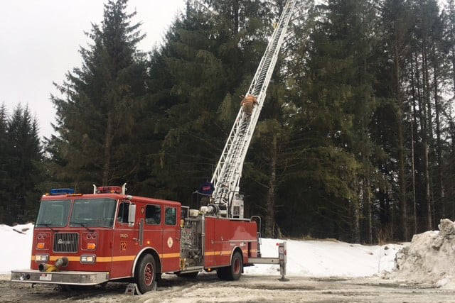 J.D. McComas, a wildlife specialist with Juneau International Airport, climbs a Capital City Fire/Rescue ladder truck to rescue a bald eagle trapped in a tree on March 1, 2021. (Courtesy photo / CCFR)