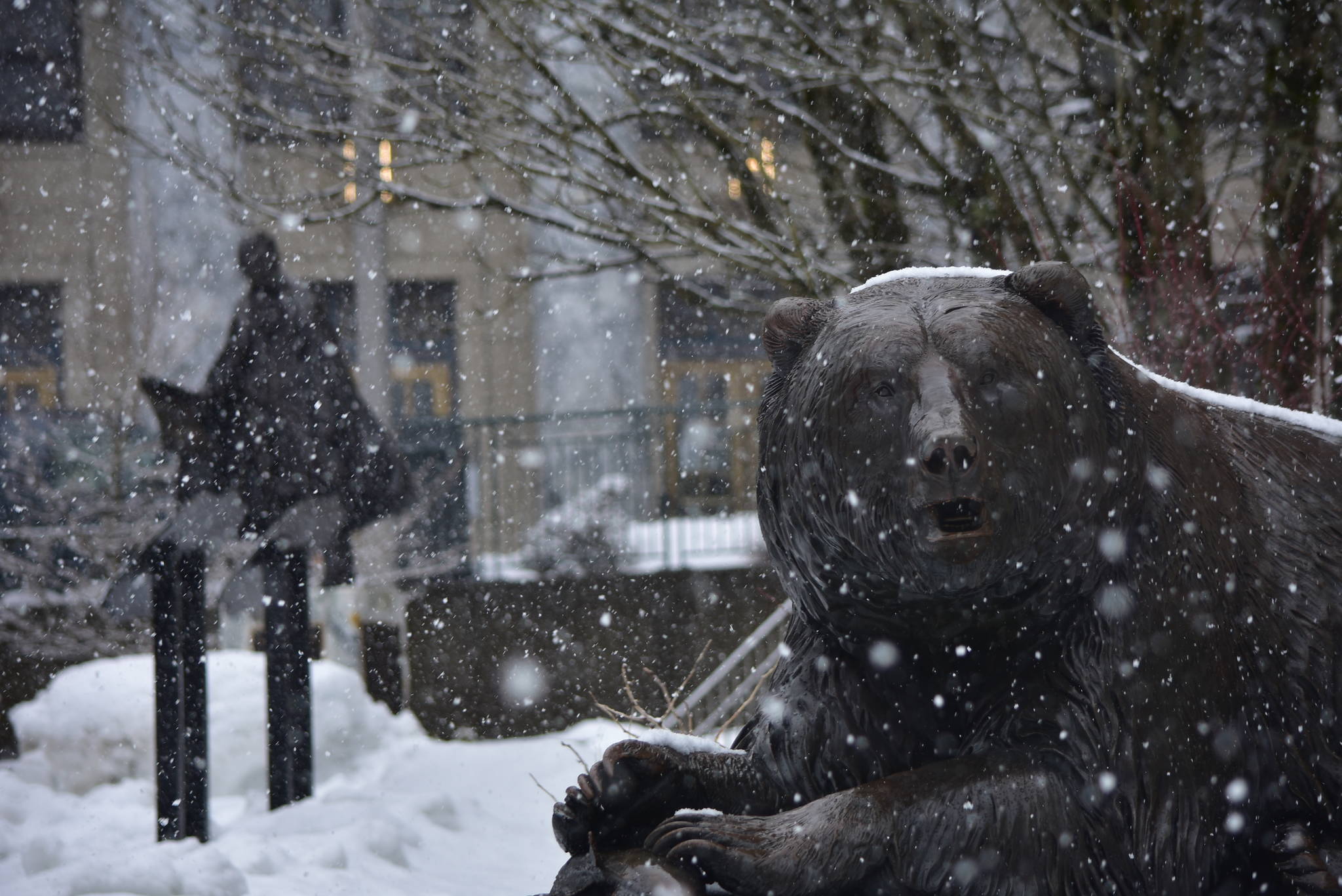 A bear statue near the Alaska State Capitol Building stares pensively into the snow as inches fall on Juneau as part of a series of winter storm systems on March 22, 2021. (Peter Segall / Juneau Empire)