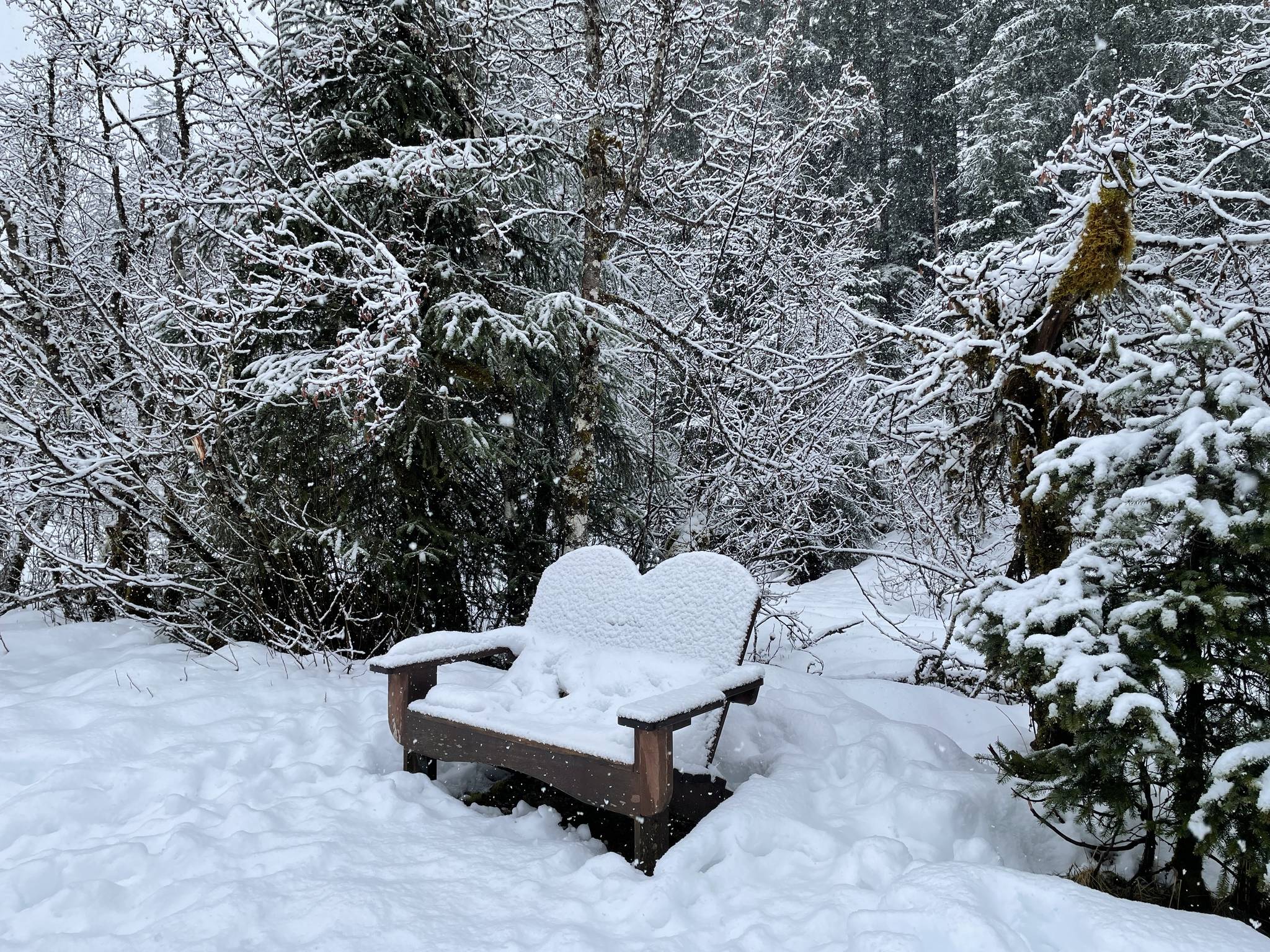 This photo taken on the Dredge Lake trail shows a cozy bench with a soft snow pillow. (Courtesy Photo / Deana Barajas)