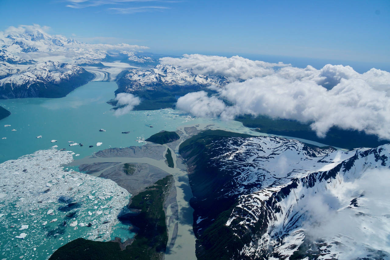 The Alsek River is the straight, tan waterway with a major branch that turns left into Alsek Lake. As the Grand Plateau Glacier — near top left of the photo — recedes, scientists think the Alsek River will flow that way to the sea. Currently, the Alsek River hangs a sharp right to reach Dry Bay and the Gulf of Alaska. (Courtesy Photo /Chris Larsen)