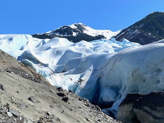 Small glacial erratics and pulverized rock are deposited by the retreating Mendenhall Glacier creating a barren landscape. (Courtesy Photo / Denise Carroll)