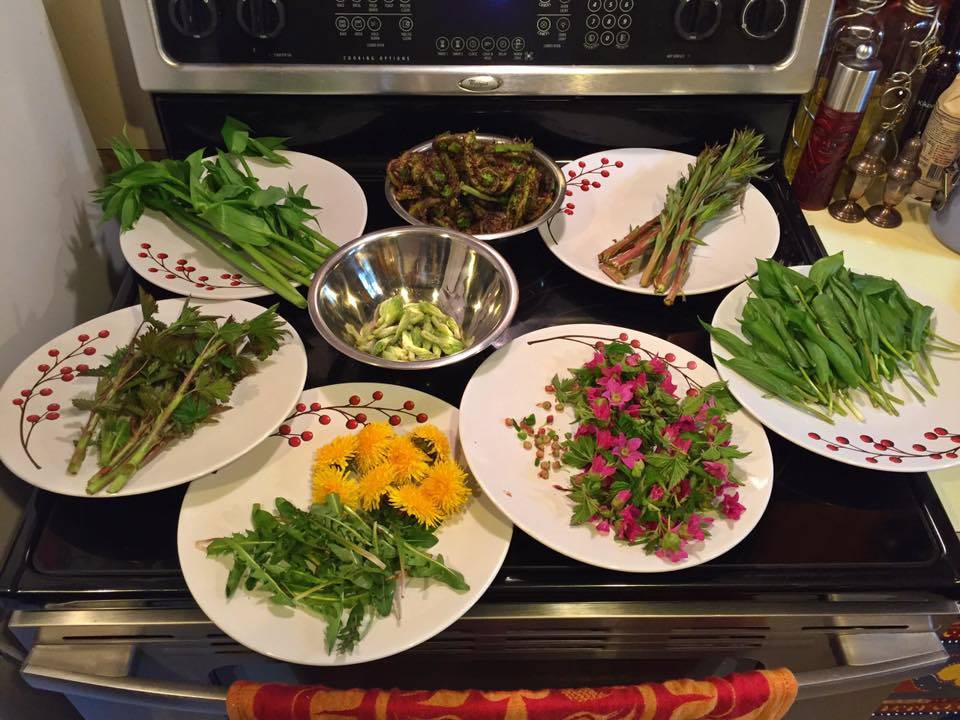 Dinner - Fiddlehead ferns, dandelion greens, fireweed greens, fireweed stalks, beach lovage, broccoli, bacon, onions, garlic, sea salt, and black pepper.