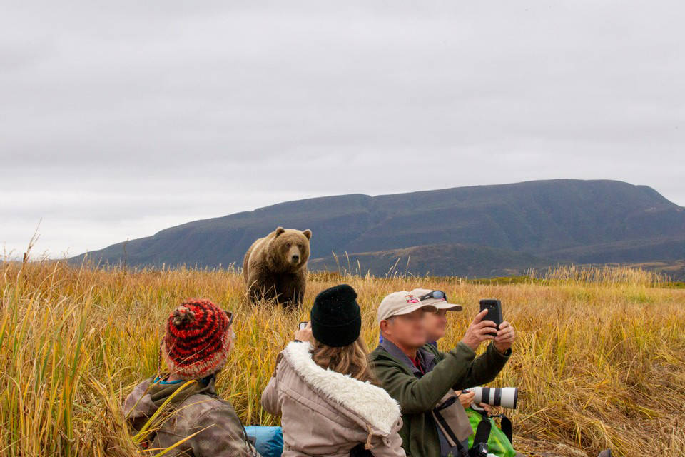 Cross species viewing with Grizzly Safaris. (Courtesy Photo / Grizzly Safaris)