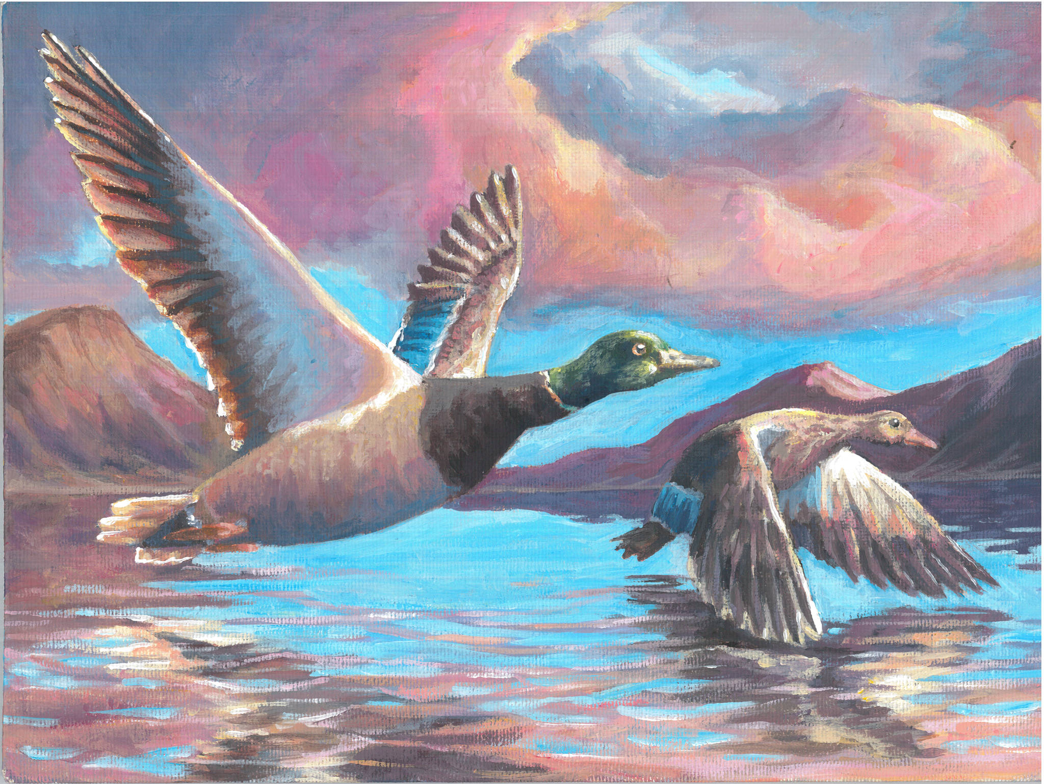 “Ducks at Dusk” by Thunder Mountain High School student Alain Soltys-Gray recently won best in show in the Alaska Junior Duck Stamp Contest. (Courtesy Image)