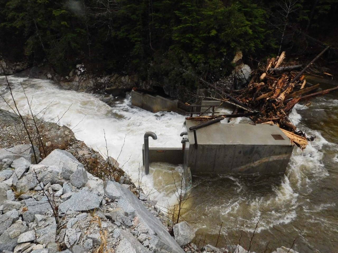 Courtesy photo / Art Bloom 
Debris blocking the hydropower site on the Indian River in Tenakee Springs is clearly visible. Without removing the debris, the salmon run could be affected.