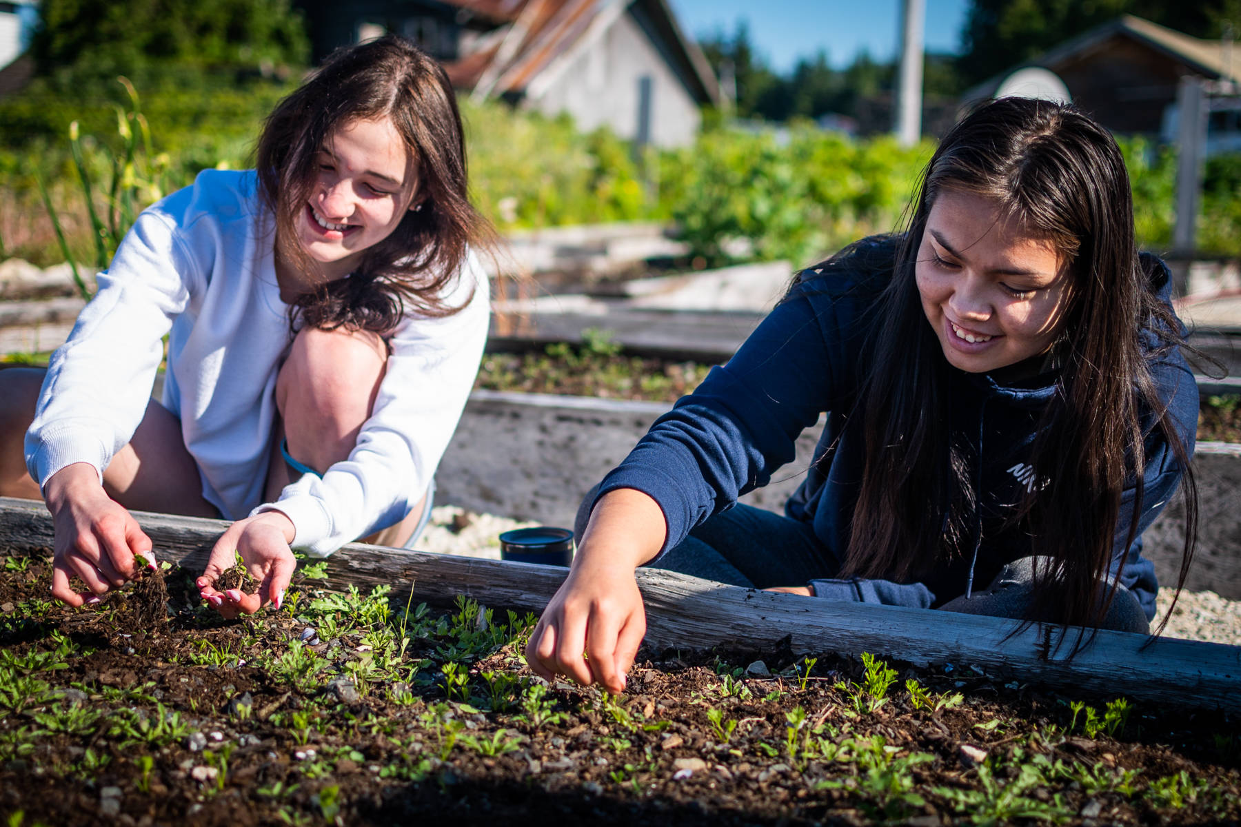 Courtesy Photo / Lione Clare 
AYS members Mamie Crookes and Alexis Copsey weed a bed of carrots in Kake’s community garden. The food from this garden is shared with elders and community members.