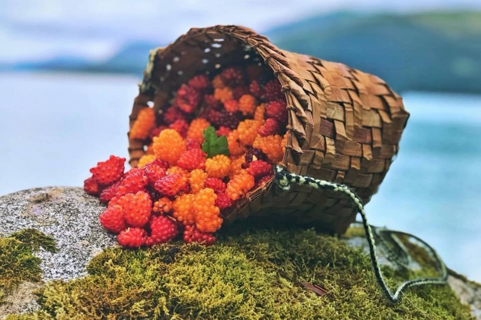 Salmonberries sit in a cedar basket woven by Faye Kohrt in Wrangell. (Vivian Faith Prescott/ For the Capital City Weekly)