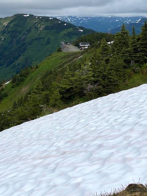 Looking across an avalanche area at the top of ptarmigan ski run on July 7. (Courtesy Photo / Denise Carroll)