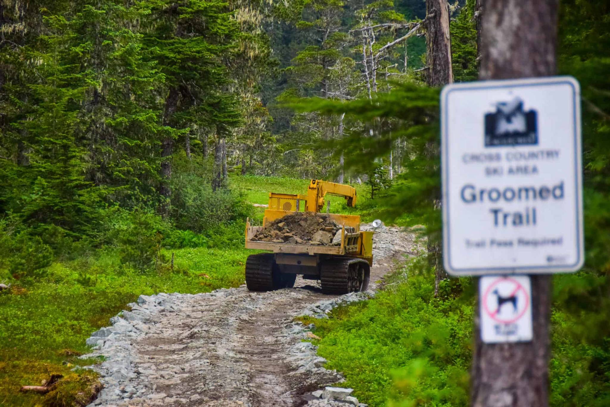 Eaglecrest Ski Area is working to improve its lower Nordic trails, hardening them to provide a better base for grooming equipment during the winter season, among other improvements this summer. (Courtesy photo / Charlie Herrington)