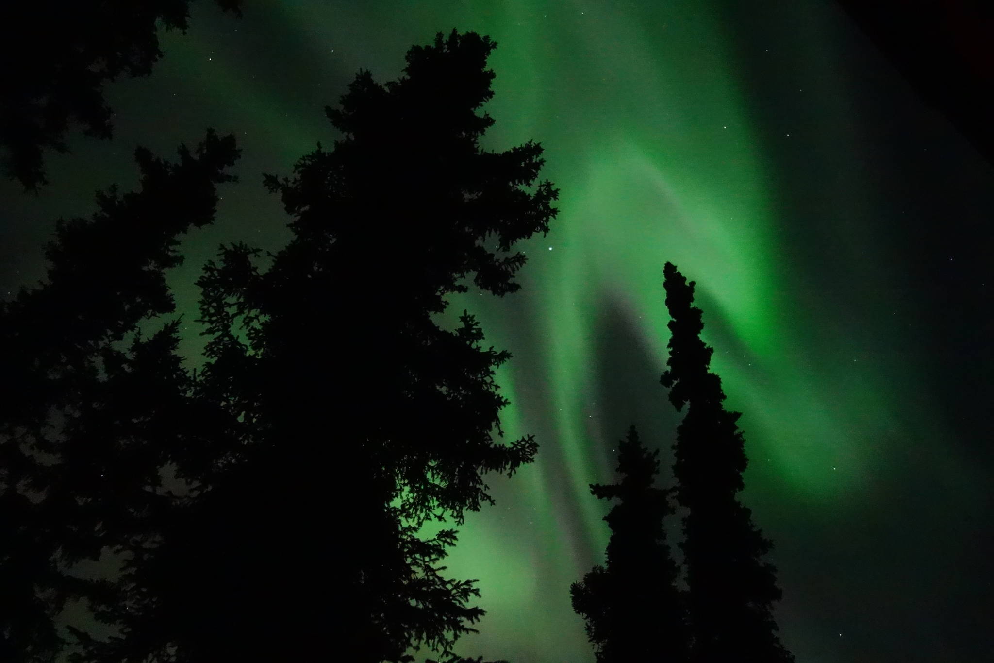 This photo shows the aurora borealis over Fairbanks. To a large degree, the Geophysical Institute at the University of Alaska Fairbanks owes its existence to the aurora. (Courtesy Photo / Ned Rozell)