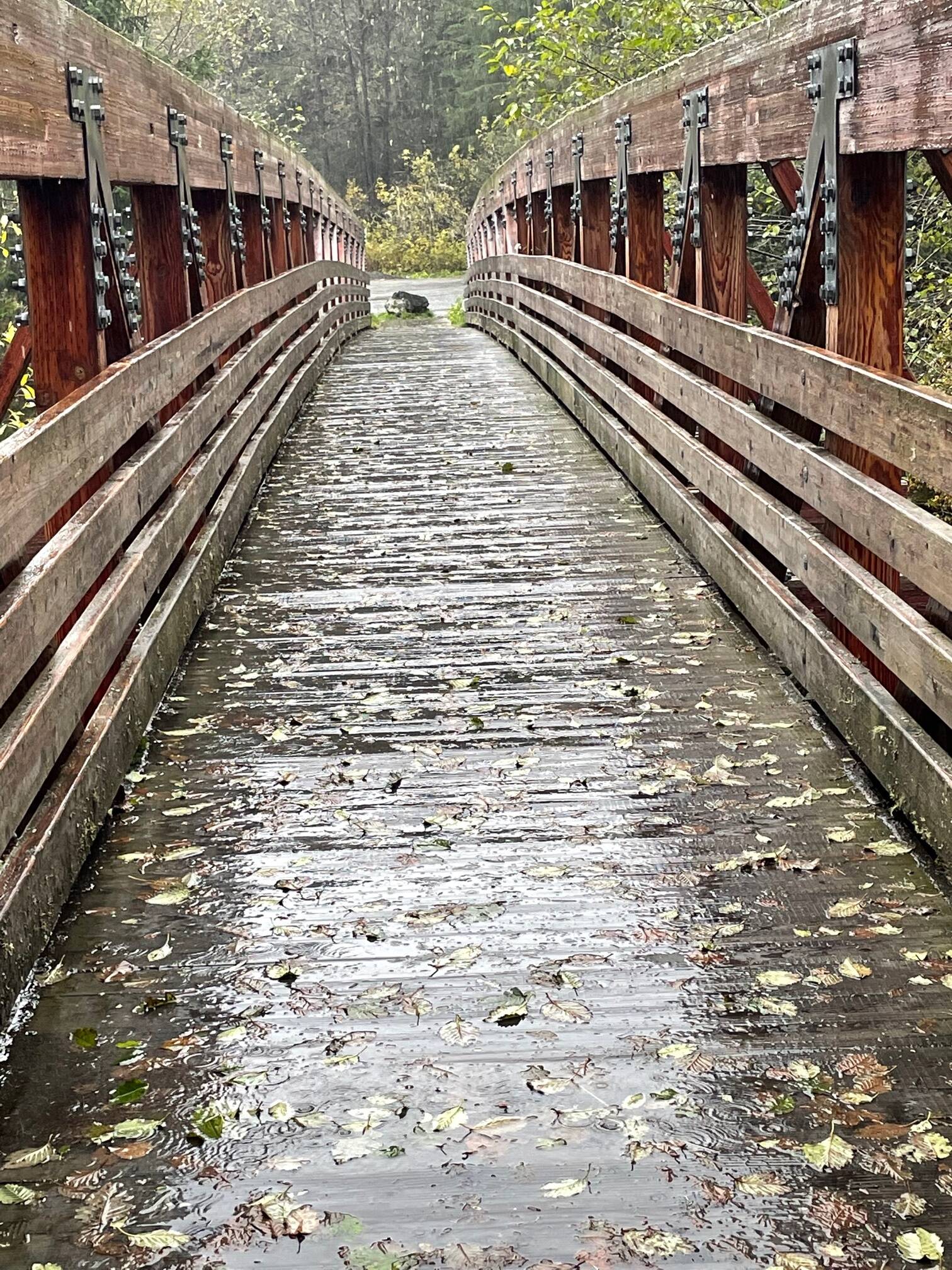 This photo shows the foot bridge over Fish Creek on Oct. 14, 2021. (Courtesy Photo / Kerry Lindley)