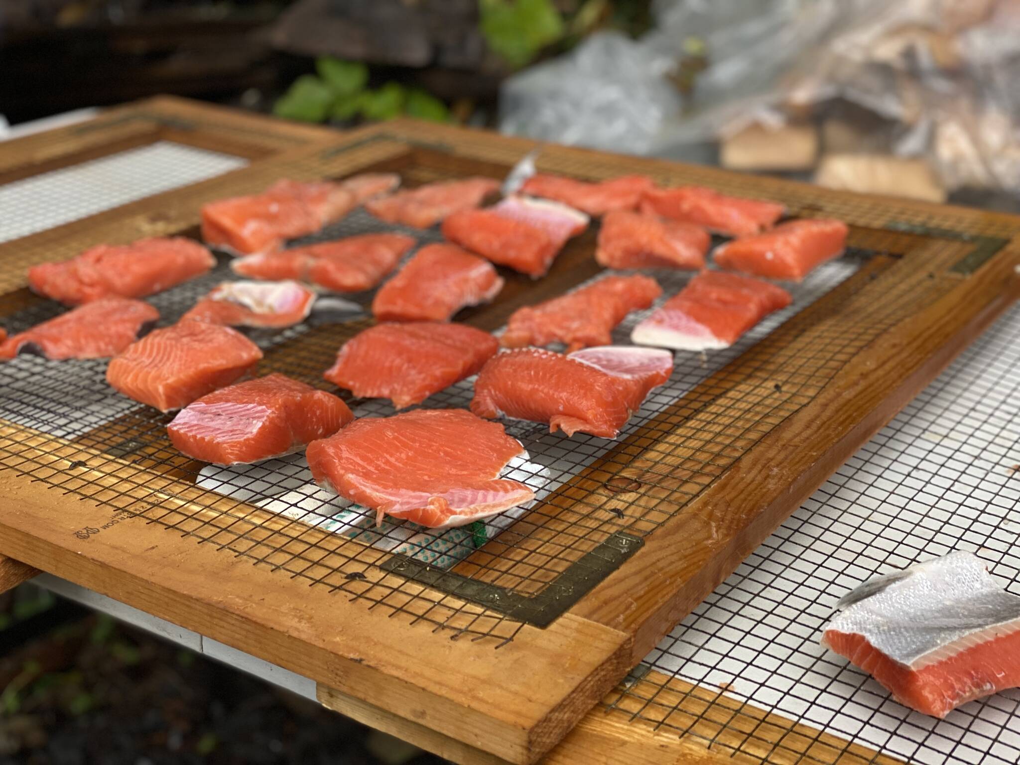 Brined coho salmon on rack ready to go into the smokehouse. (Vivian Faith Prescott / For the Capital City Weekly)