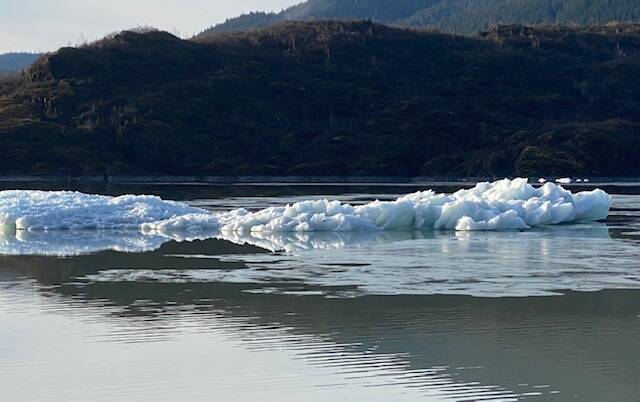 Large icebergs in Mendenhall Lake portend a rapidly shrinking glacier on Nov. 7.(Courtesy Photo / Denise Carroll)