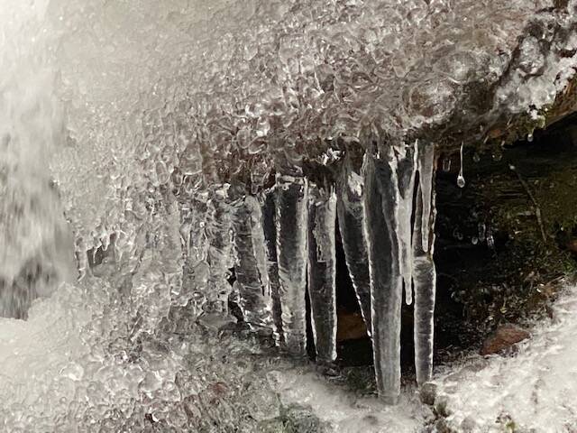 This photo shows icy formations on a tumultuous Dupont trail creek. (Courtesy Photo / Denise Carroll)
