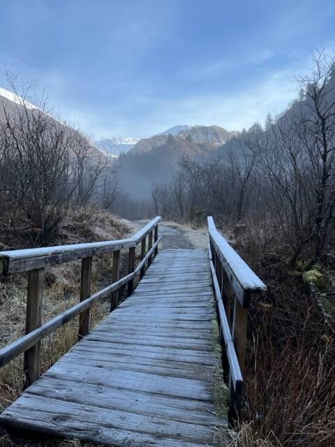 A frosty morning on the Perseverance Trail on Oct. 31. (Courtesy Photo / Bill Andrews)