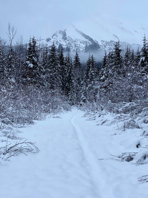 The path to Mount McGinnis on Dec. 1, 2021. (Courtesy Photo / Denise Carroll)