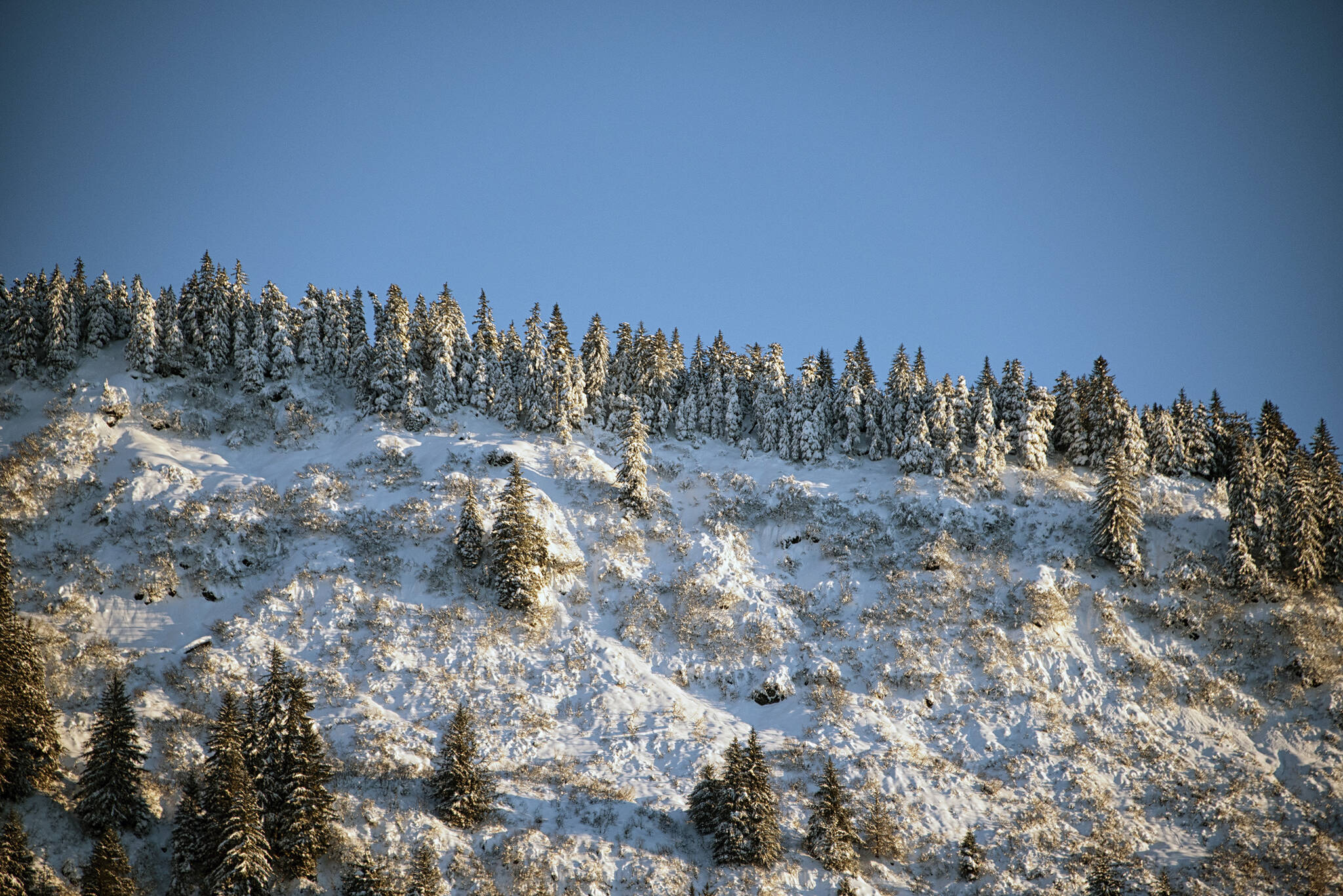 Winter covered Blackberry Ridge overlooking Lemon Creek. (Courtesy Photo / Kenneth Gill, gillfoto)