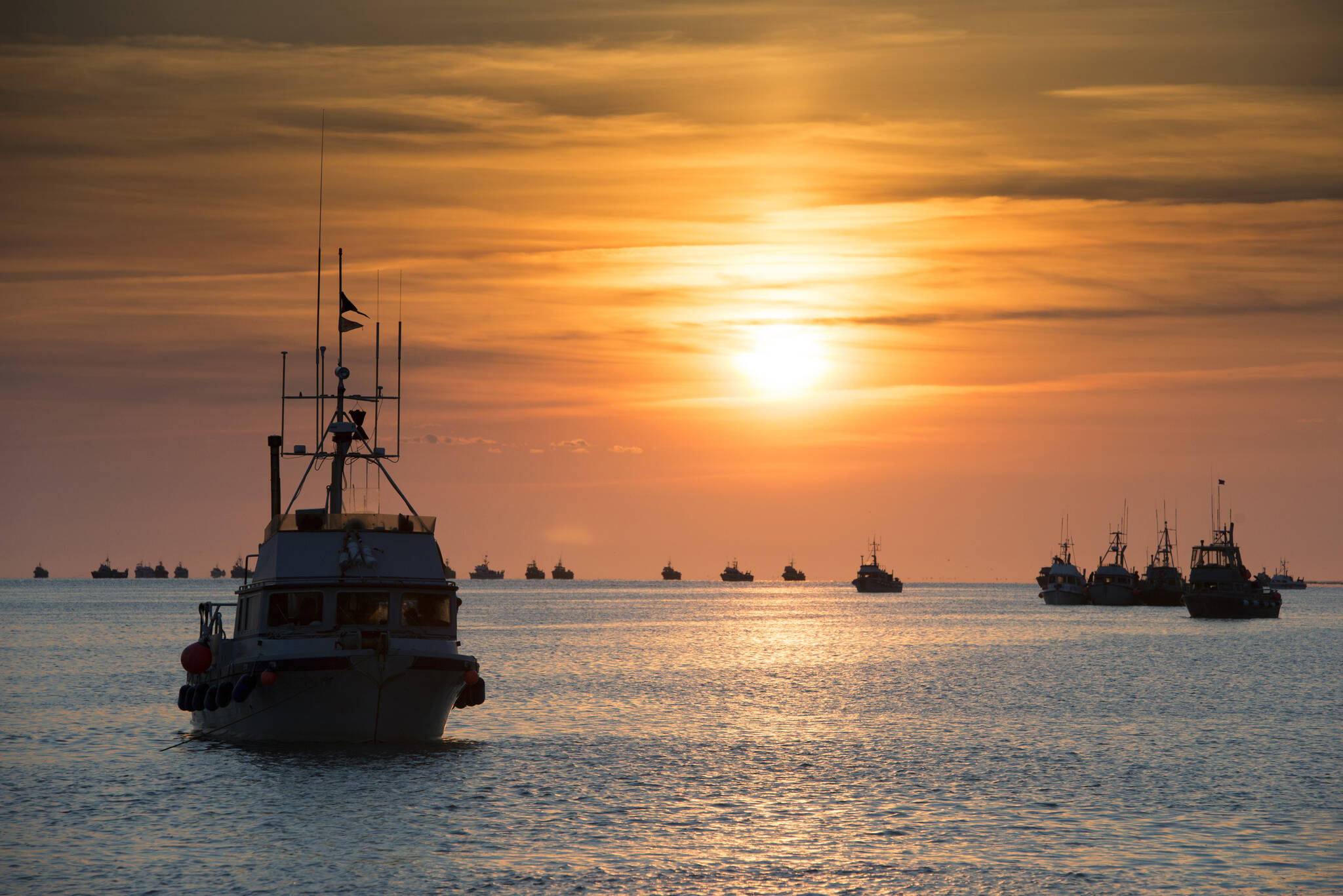 Bristol Bay Fisheries Report: July 1, 2021