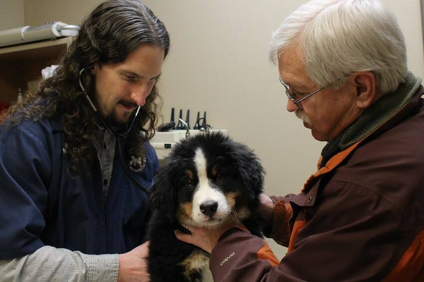 Courtesy photo / Southeast Alaska Animal Medical Center 
Dr. Gerald Nance, left, with George Utermohle and his Bernese mountain dog, Stein, during a visit to the Southeast Alaska Animal Medical Center. Nance and other animal care workers say the nationwide demand for veterinarians is affecting Juneau, but there are several factors at work complicating the issue.