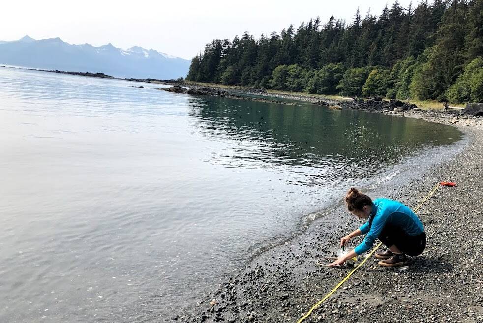 University of Alaska Southeast graduate student Muriel Walatka gathers samples of beach sand to examine for microplastics at Auke Recreation Area in Juneau in August 2019. (Courtesy Photo / Sonia Nagorski)