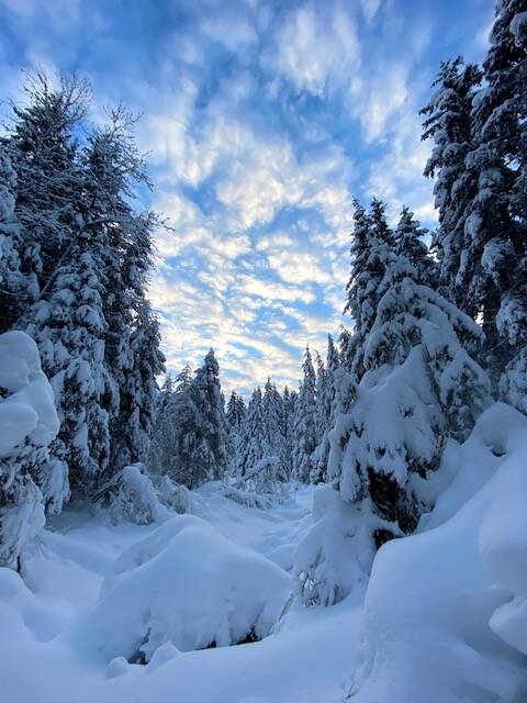 The sky opens up to expose a winter wonderland in the Dredge Lake area on Jan.8. (Courtesy Photo / Denise Carroll)